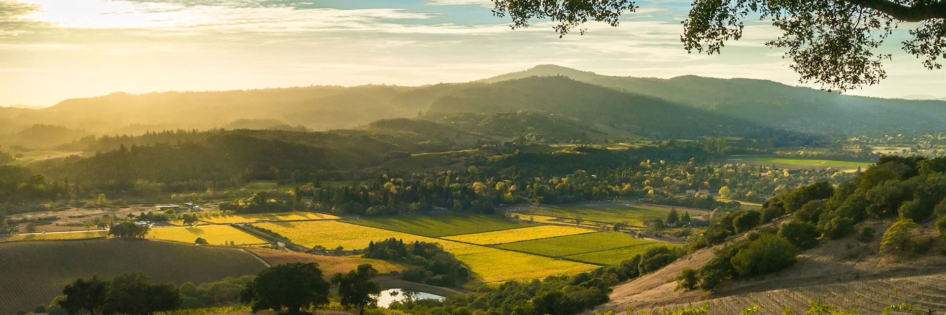 Sonoma Valley Hospitality Town Wardrobe Dept.